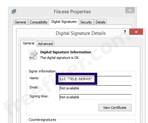 Screenshot of the LLC "TELE-SERVIS" certificate